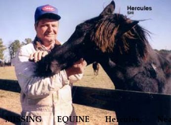 MISSING EQUINE Hercules, Near Salisbury, MD, 00000